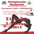 Campionato nazionale di ginnastica artistica femminile