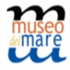 Museo Ittico, un laboratorio per scoprire l'ecosistema marino