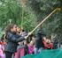 Gli alunni raccolgono le olive in piazza Bambini del Mondo